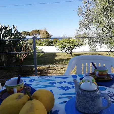 Casa Ippo Stromboli Piscita Tatil Evi